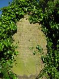 image of grave number 366893